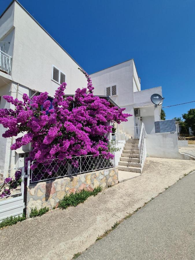 Maslenica-Bougainvillea Εξωτερικό φωτογραφία