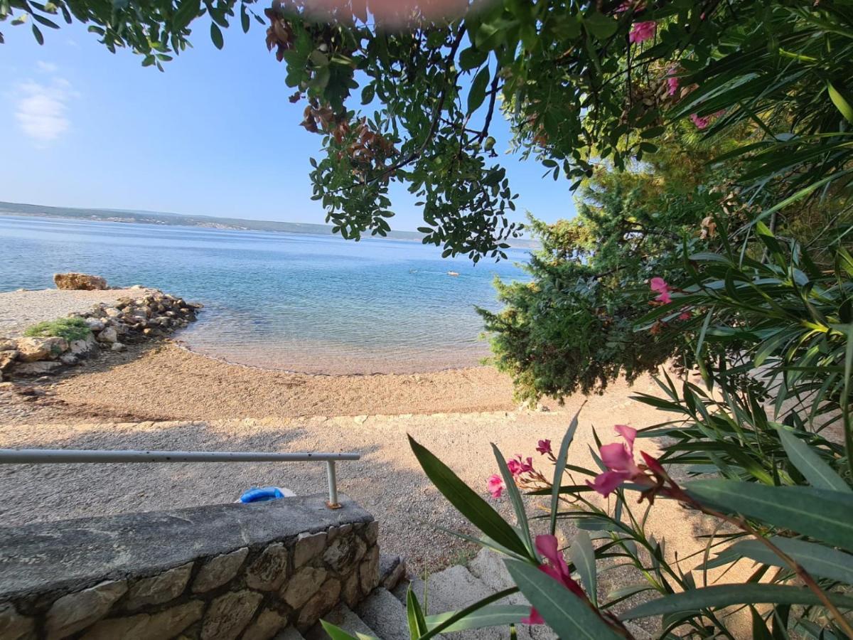 Maslenica-Bougainvillea Εξωτερικό φωτογραφία